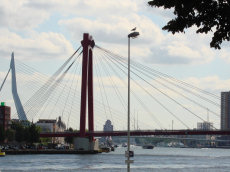 Rotterdam - Erasmusbrug