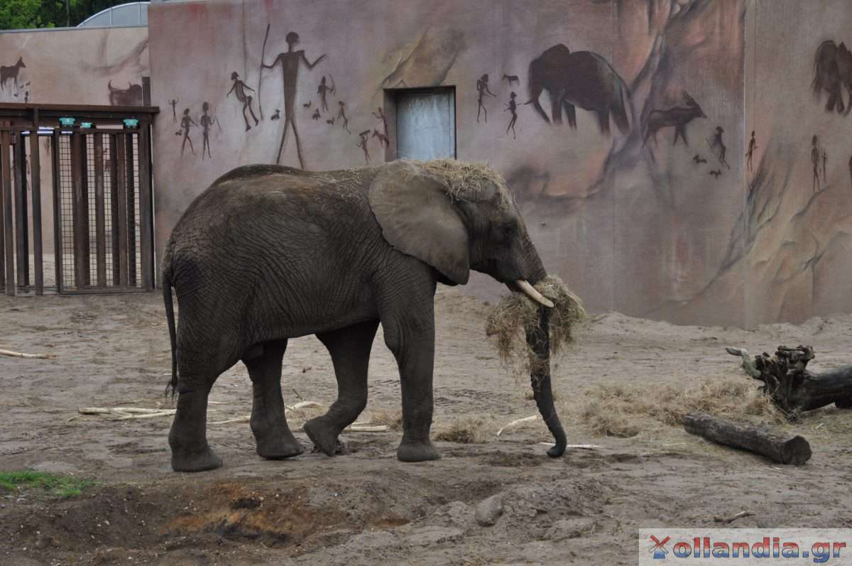 Ouwehands Dierenpark Rhenen