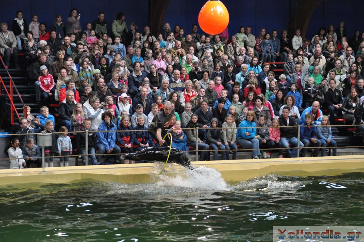 Ouwehands Dierenpark Rhenen